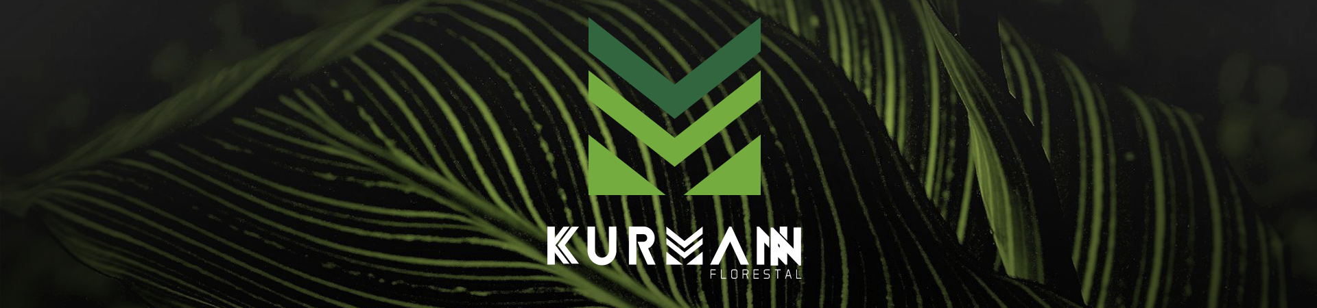 Kurmann